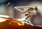 Bentley Bees bijenkorven Brussel