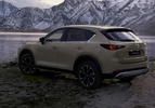 Mazda CX-5 facelift 2022 bruin achter