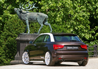 Audi A1 Senner Tuning (7)