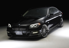 Wald-International-BMW-5-F10-1