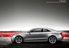 big Audi S5 Coup 04