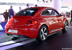 Volkswagen Beetle-5