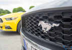 ford-mustang-test-2015