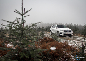 Mercedes Benz ML250 BlueTec AMG Pack 2014