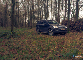 ssangyong rexton w