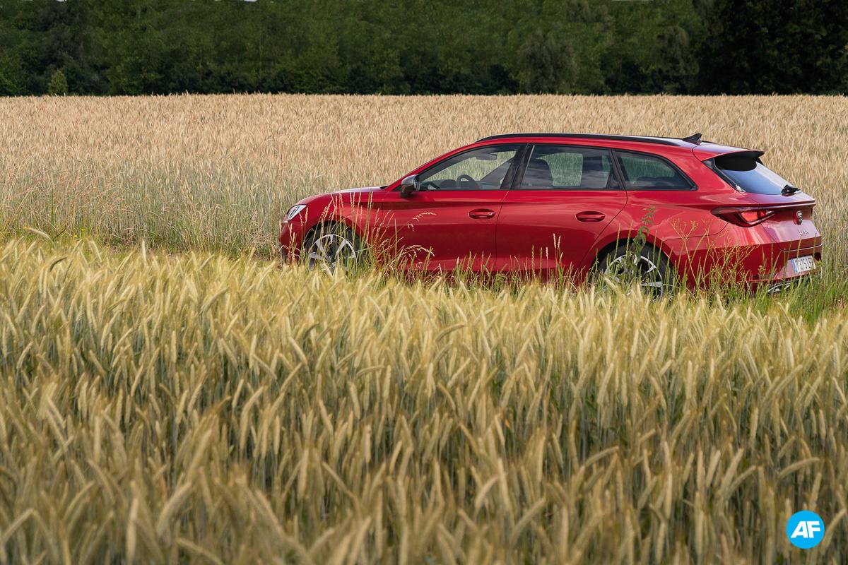 Seat Leon 2020 rijtest Break hatchback video