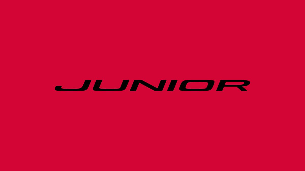 Alfa Romeo Junior info