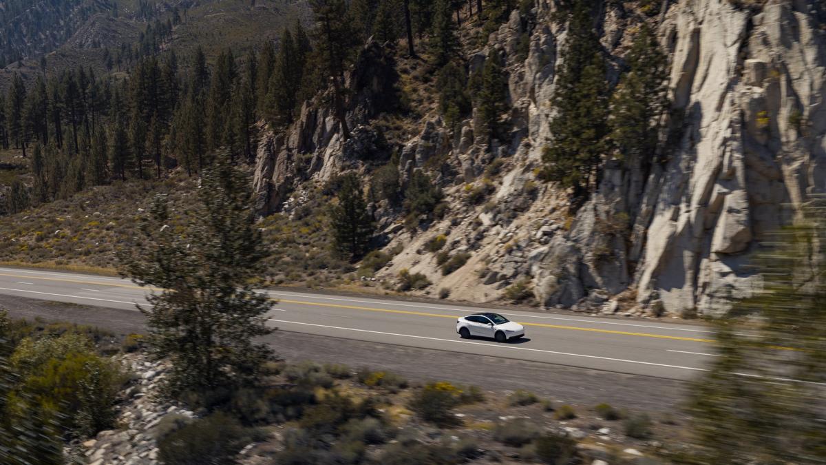 Tesla Model Y Standard 2026