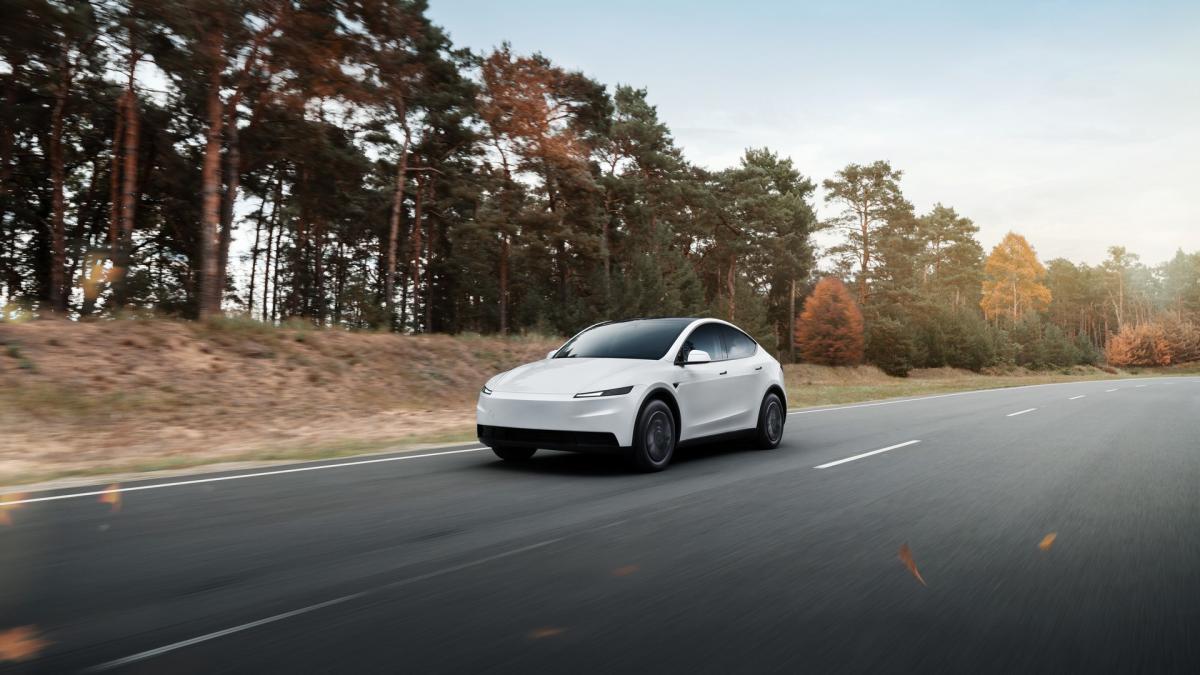 Tesla Model Y Standard 2026