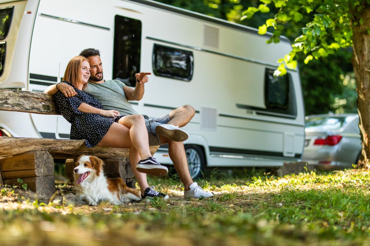 Caravan populariteit 2026
