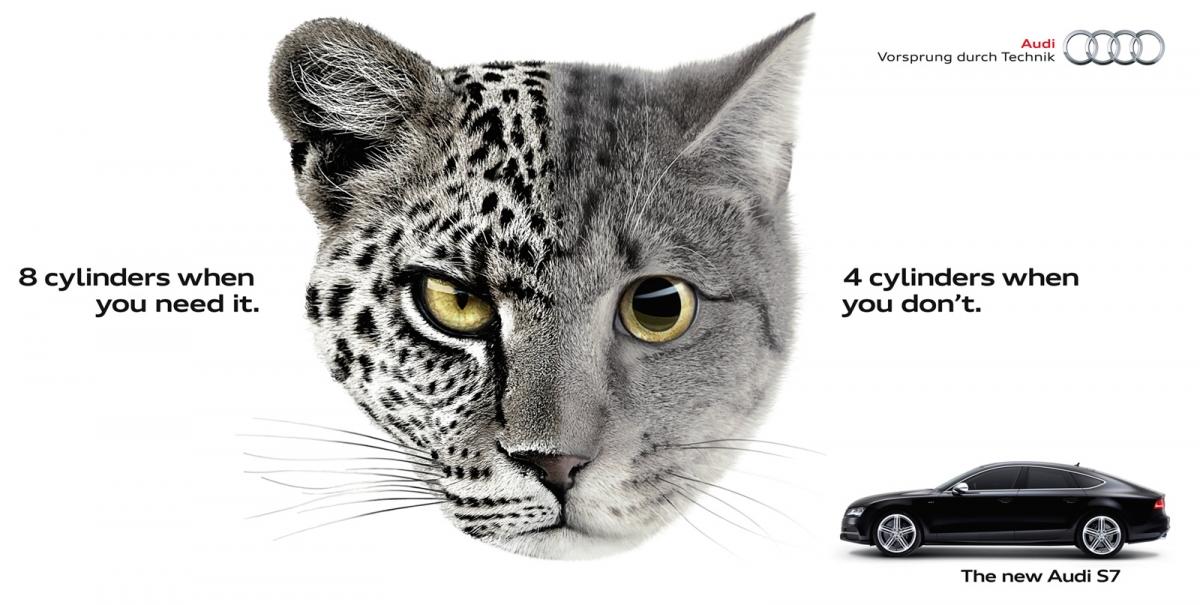 car-ad-animals