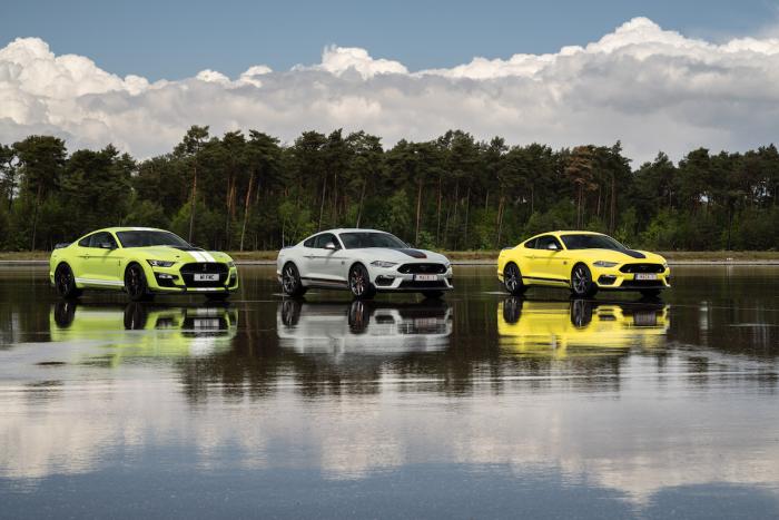 Ford Mustang Mach 1 & Shelby GT500 (2021)