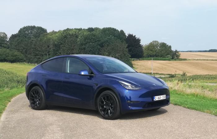 Tesla Model Y Review belgie vlaams