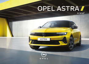 Opel handleiding snelstartgids