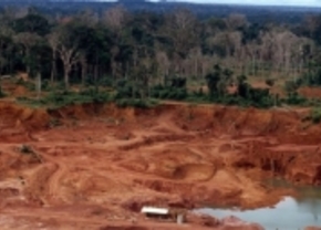Auto-industrie helpt mee aan vernieling Amazonewoud