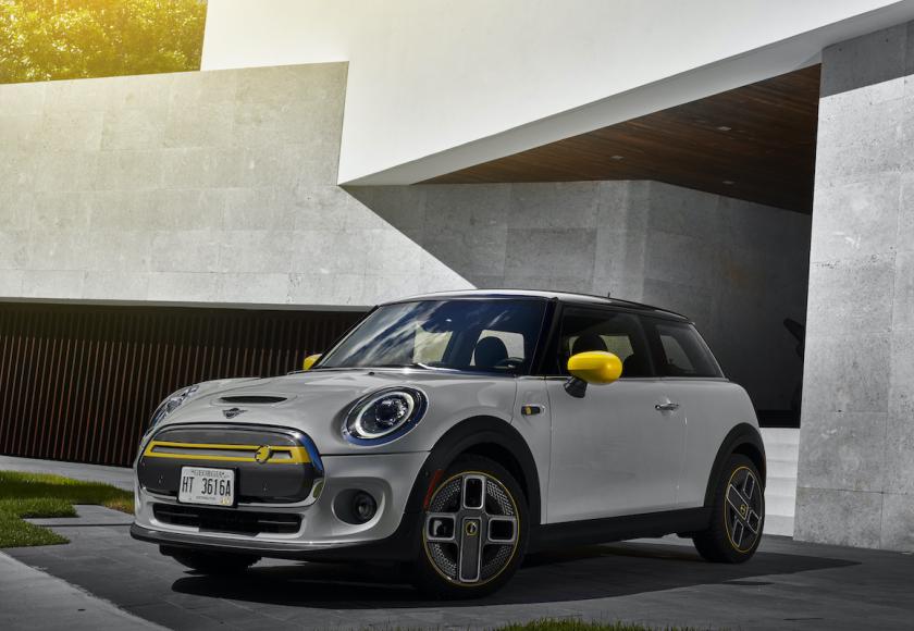 Mini Electric Corona Spoke Power Spoke